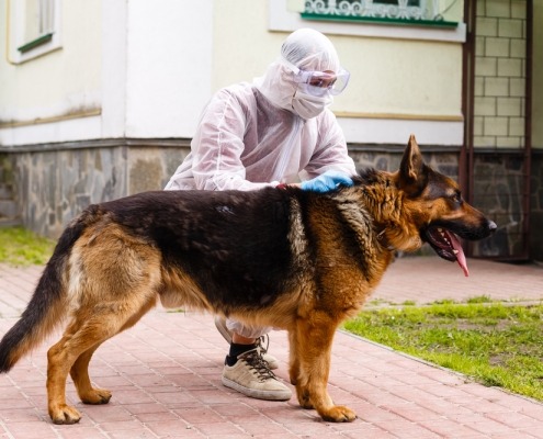 Man,In,A,White,Protective,Suit,,Wearing,Glasses,,Gloves,And Αρχική
