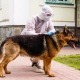 IPM και HACCP το φθινόπωρο — απαραίτητα για επιχειρήσεις εστίασης και ξενοδοχεία